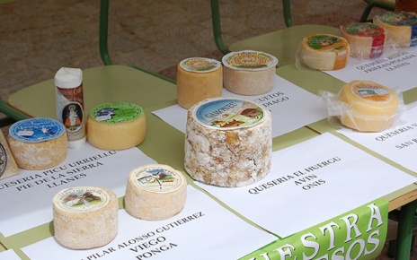 Local cheese contest